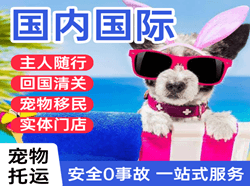 秦皇岛空运公司国际宠物托运 【国